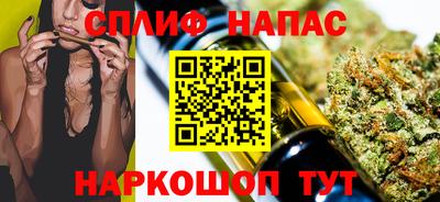 стафф Владикавказ